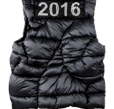 Puffer 2016 / II