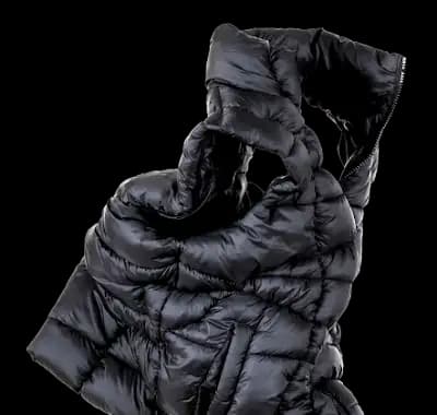 Puffer 2016 / VII