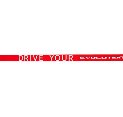 Evolution belt